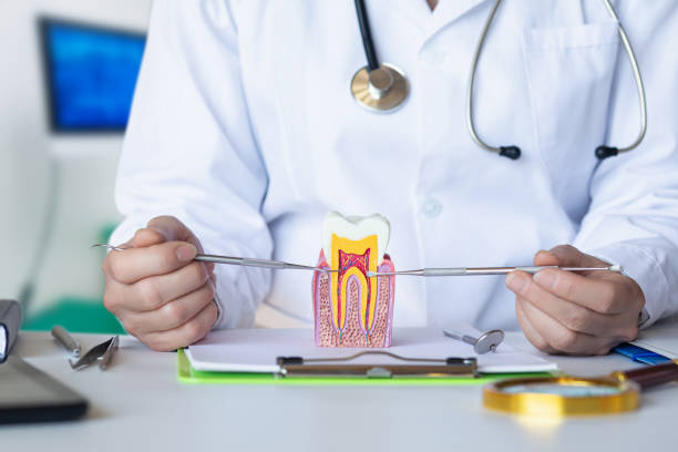 Best Pediatric Emergency Dentist in Rexland Acres, CA